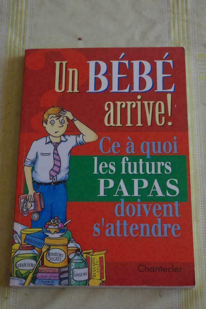 Livre : Un bébé arrive ! Ce à quoi les futures papas doivent, Ophalen of Verzenden, Gelezen