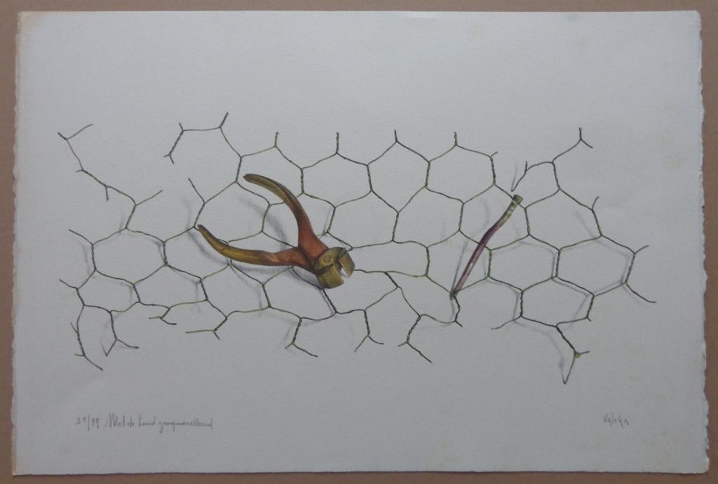 PETRUS VALCKX / KNIPTANG / ZW-W LITHO + AQUAREL / 38x56cm, Ophalen of Verzenden