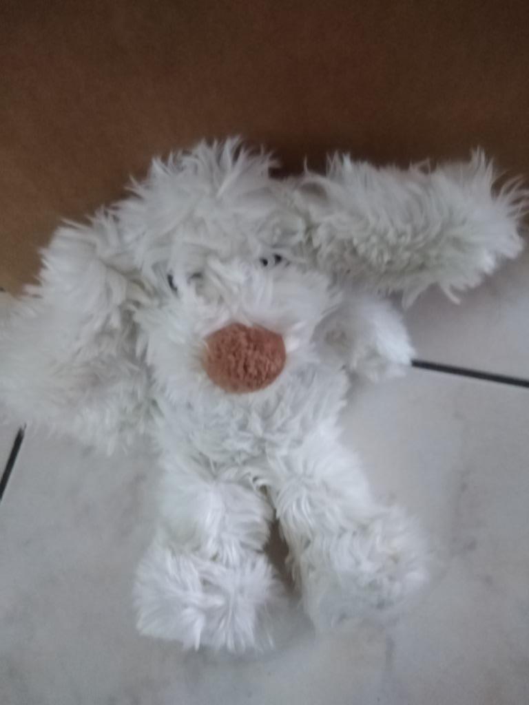 knuffel dimpel hond (doos 106), Enlèvement, Neuf, Chien