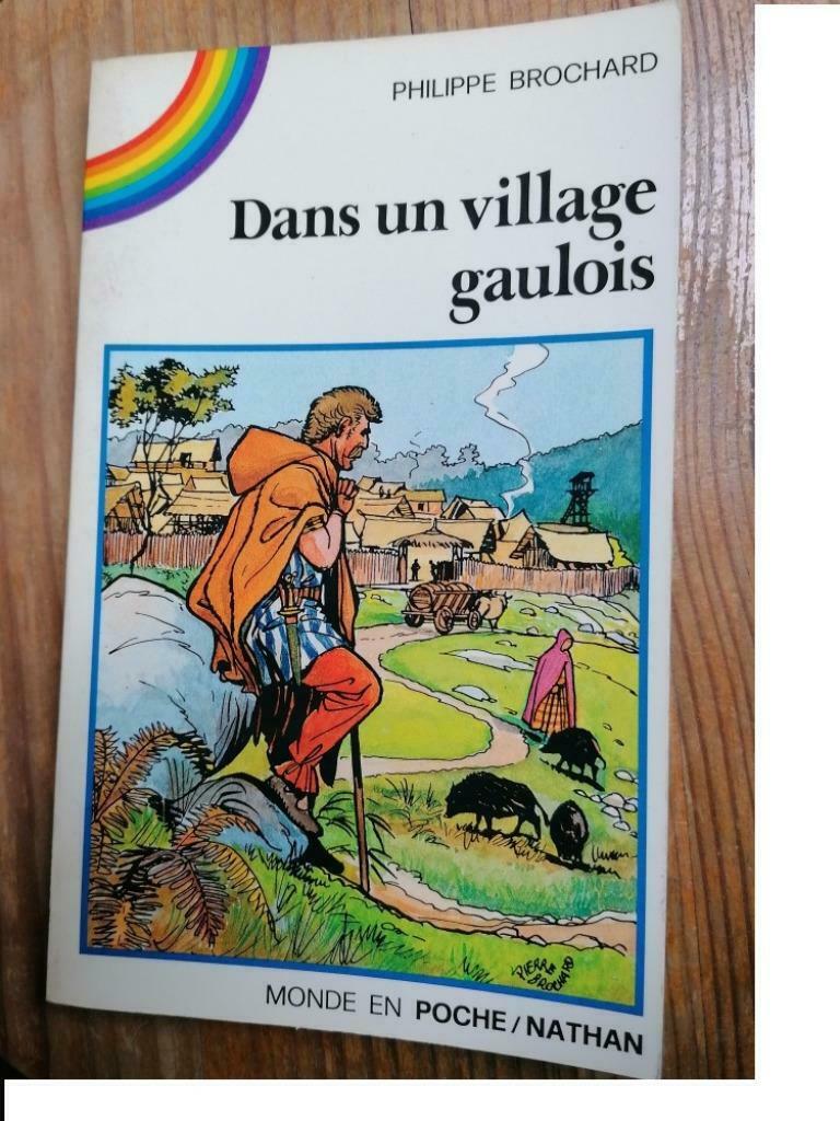 DANS UN VILLAGE GAULOIS -  BROCHARD PHILIPPE, Enlèvement ou Envoi, Utilisé