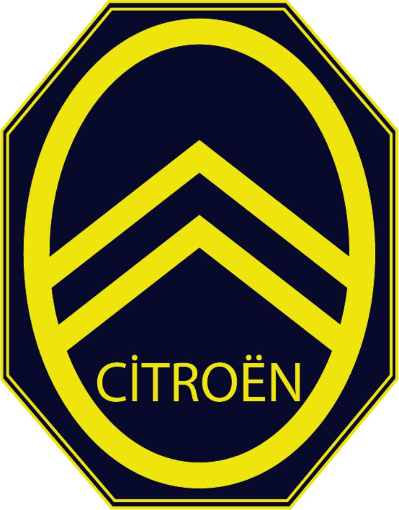 GRAND LOT DE PIECES POUR BX, Enlèvement ou Envoi, Utilisé, Citroën