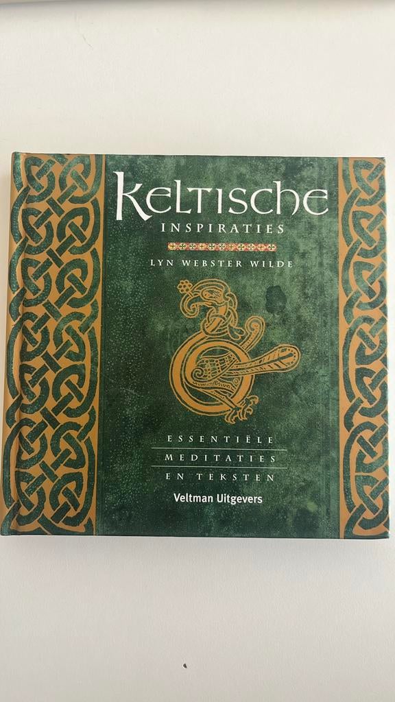 Lyn Webster Wilde - Keltische inspiraties, Ophalen of Verzenden, Zo goed als nieuw, L.Webster Wilde