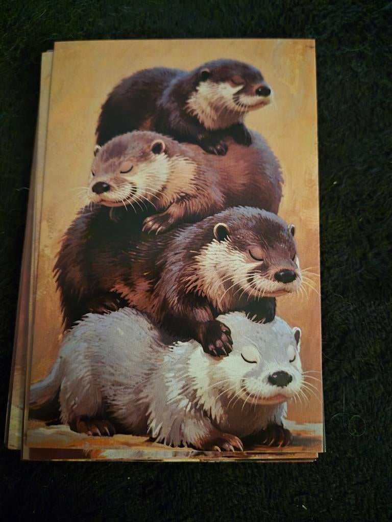 Postkaart otters, Ophalen of Verzenden