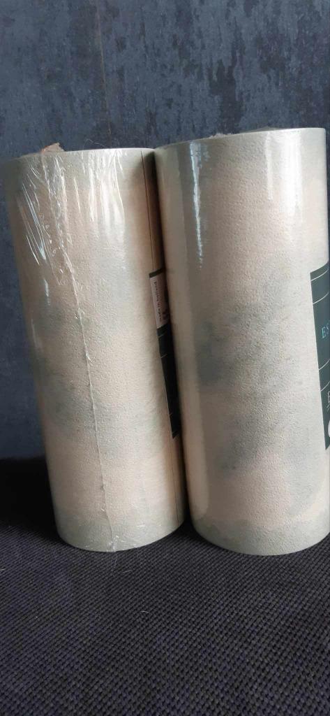 2 boord behangpapier van 10 m, Ophalen of Verzenden, 10 tot 25 m², Beige, Blaadjes