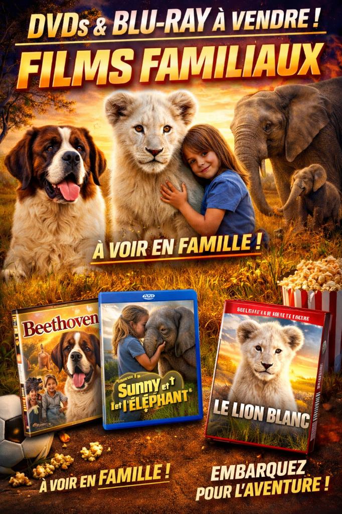 Films FAMILLE en VRAC 🎥 dvd ▬ blu-ray, Ophalen of Verzenden, Zo goed als nieuw
