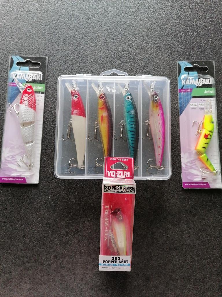 KUNSTAAS SETJE. NIEUW, Watersport en Boten, Ophalen of Verzenden, Nieuw