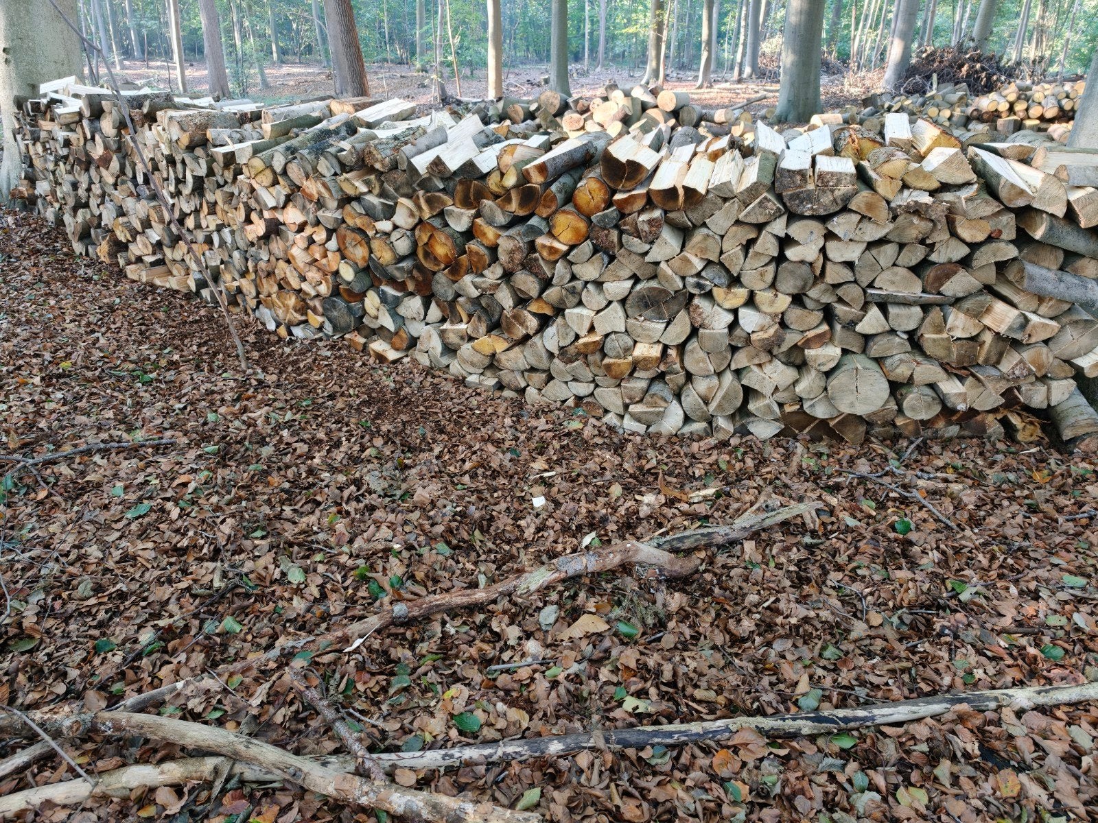 te koop brandhout, 6 m³ ou plus, Enlèvement, Autres essences de bois, Bûches