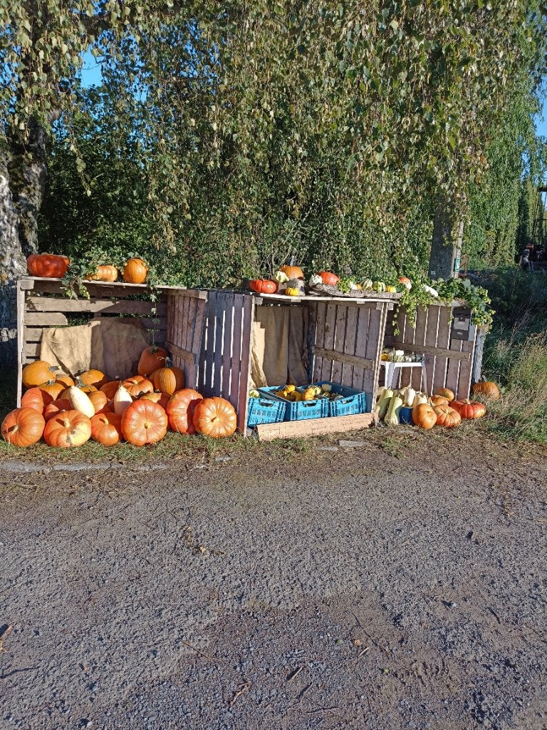 Pompoenen en sierfruit, Enlèvement