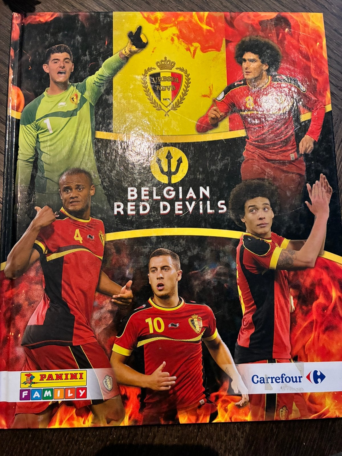 Panini - Belgian Red Devils -2014 Brasil, Tickets & Billets, Sport | Football