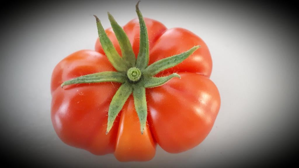 Mooie tomaten planten, Tuin en Terras, Ophalen