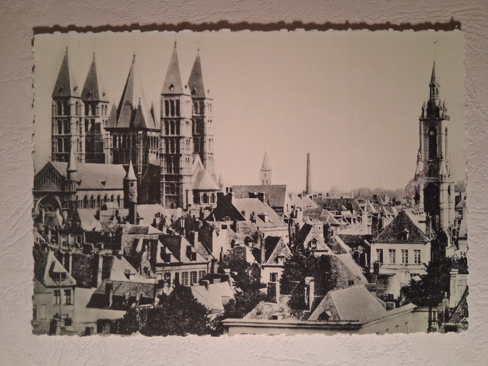 vintage Postkaart De Kathedraal en het Belfort van Doornik, Enlèvement ou Envoi
