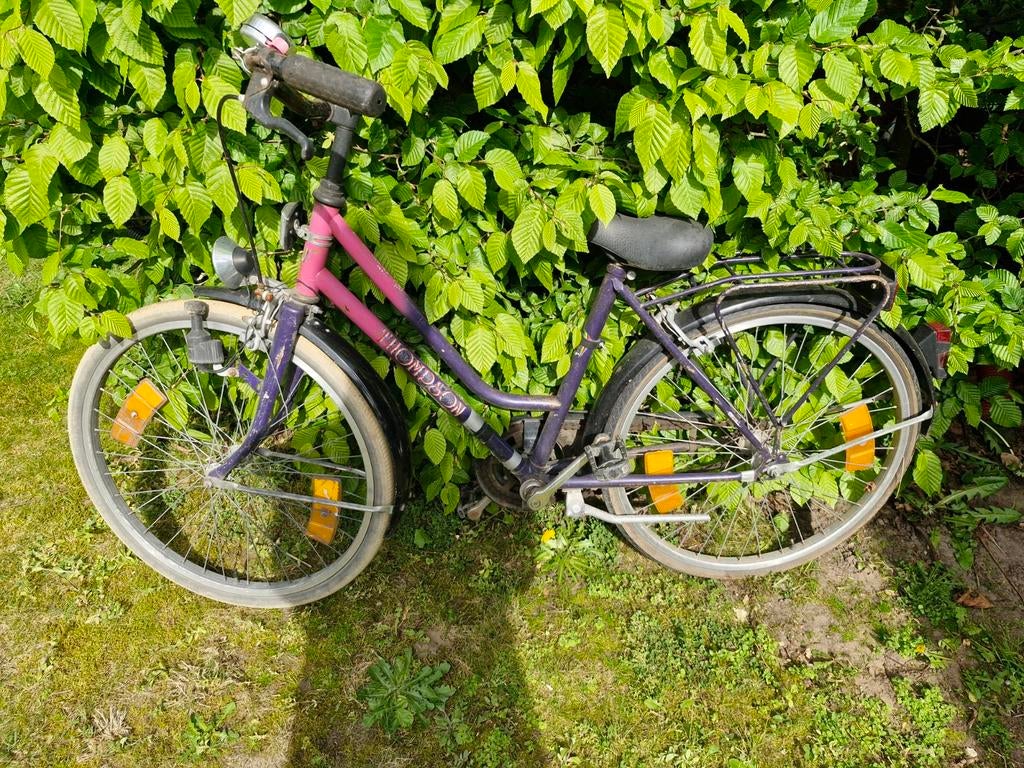 Kinderfiets 22 inch, Ophalen, 22 inch