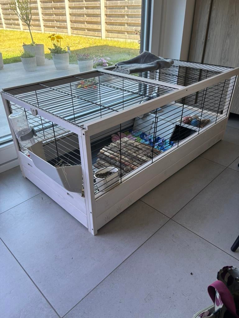 In goede staat, Dieren en Toebehoren, Ophalen, Zo goed als nieuw, Hok