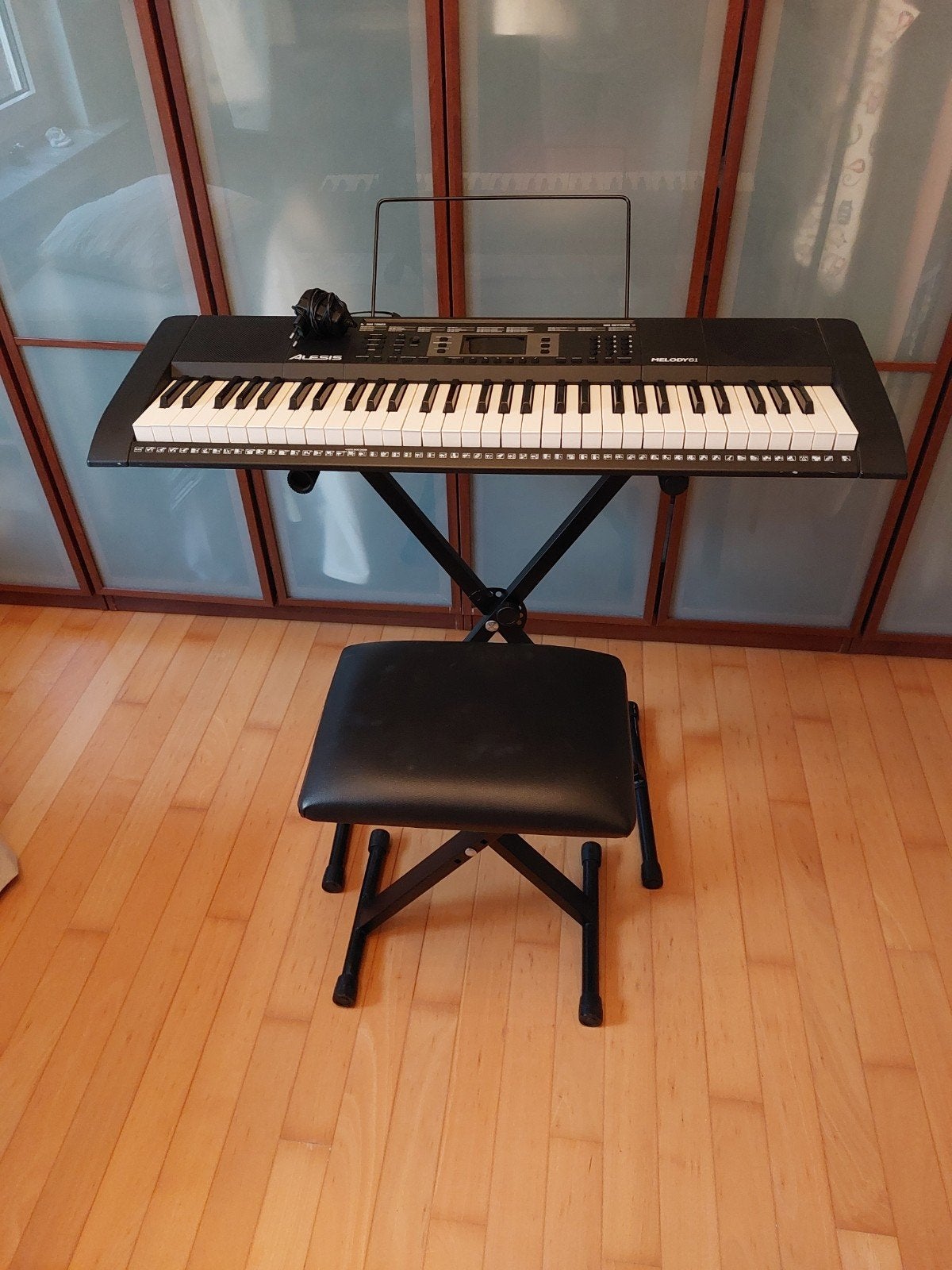 Clavier excellent état Alesis, Musique & Instruments, Claviers, 61 touches, Enlèvement
