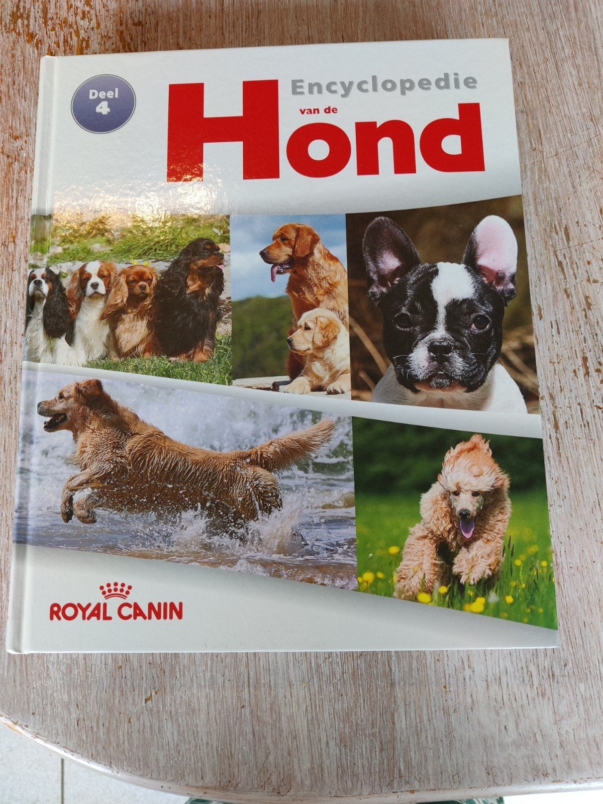 encyclopedie van de hond: royal Canin, Livres, Neuf, Enlèvement, Catherine legros, Chiens