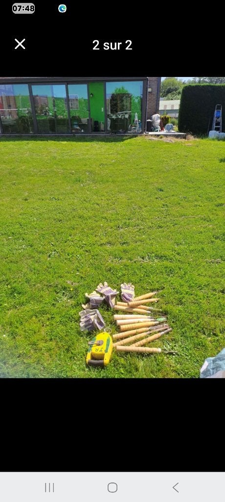 Ciseaux à bois lot, Enlèvement, Comme neuf, Bois, Kit de bricolage