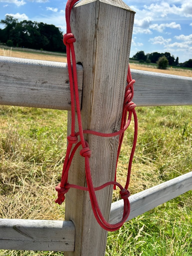 Touwhalster, Dieren en Toebehoren, Ophalen, Zo goed als nieuw, Halster, Full