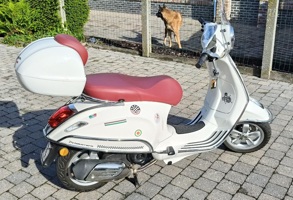 Vespa Primavera 50cc, Fietsen en Brommers, Ophalen, Overige modellen, Benzine, 50 cc