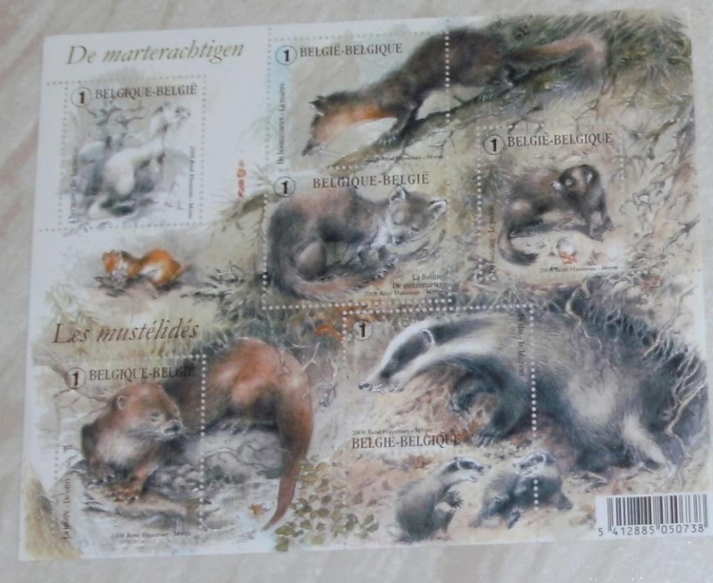 1 blok BL161 marterachtigen, Postzegels en Munten, Frankeerzegel, Ophalen of Verzenden, Zonder stempel, Postfris