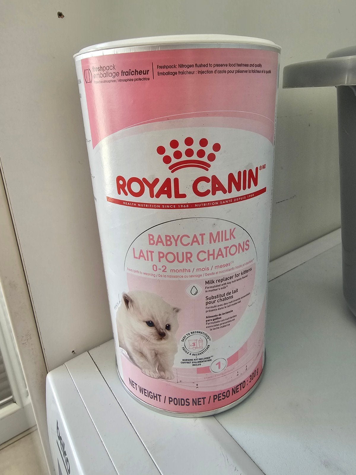 Kitten melk, Ophalen, Kat