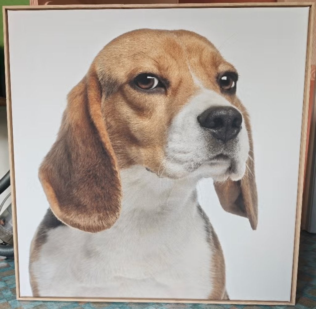 Portretfoto van een Beagle, Ophalen, Gebruikt, Schilderij