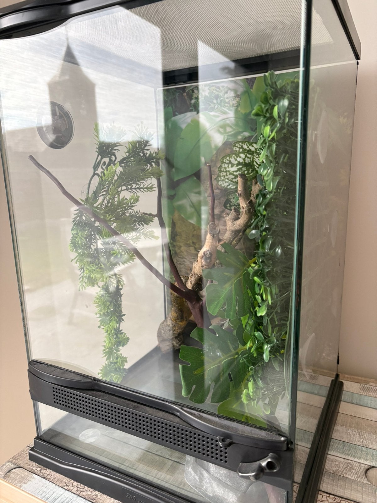 Nieuw terrarium, Enlèvement, Neuf, Terrarium ou Paludarium