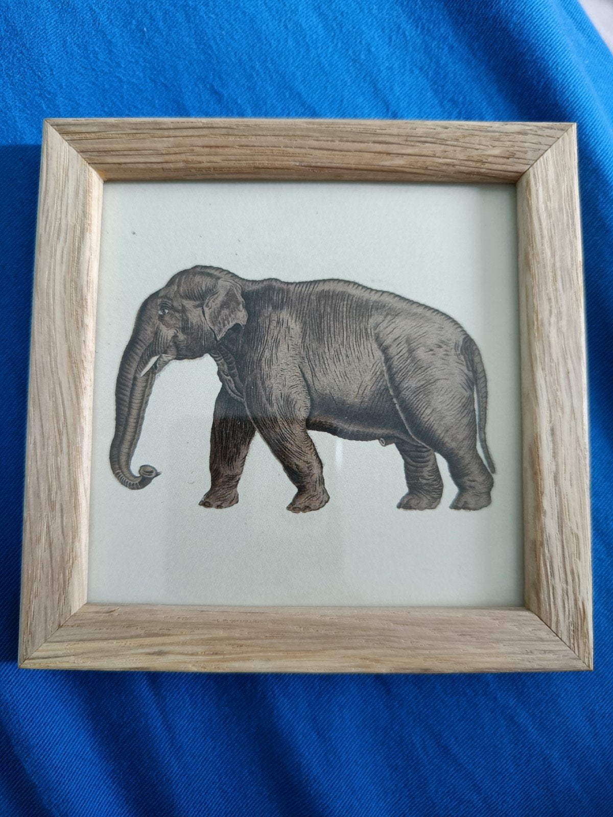Fotokadertje kinderkamer, Ophalen