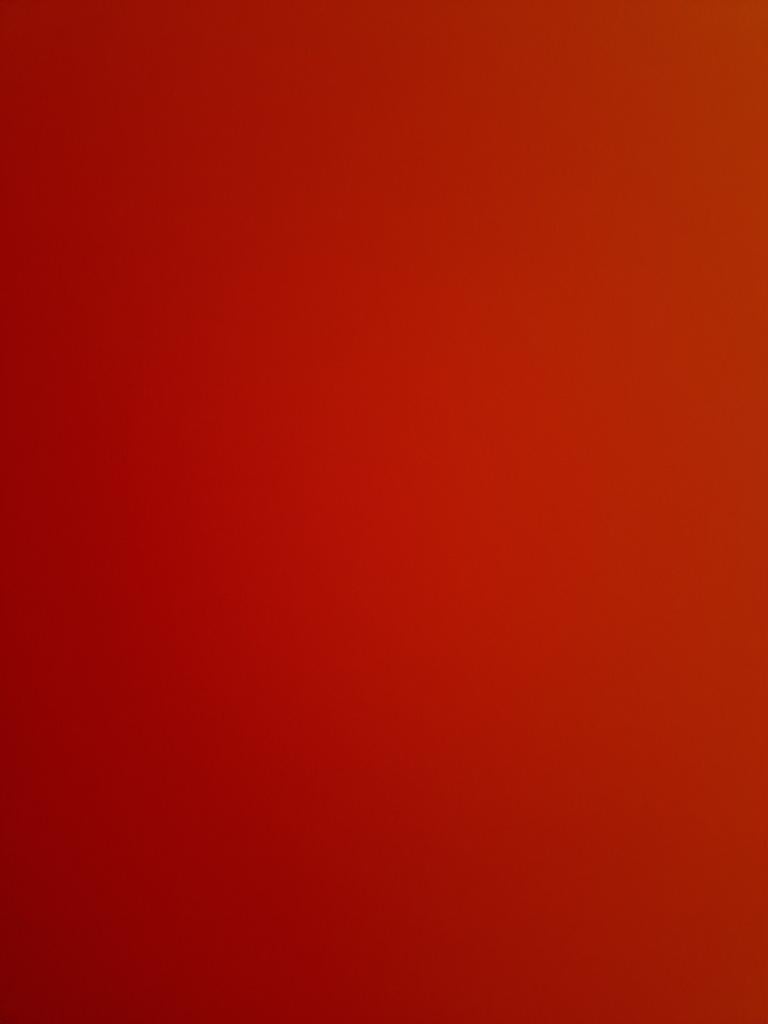 Parkieten kweekrijp gezocht West-vlaanderen