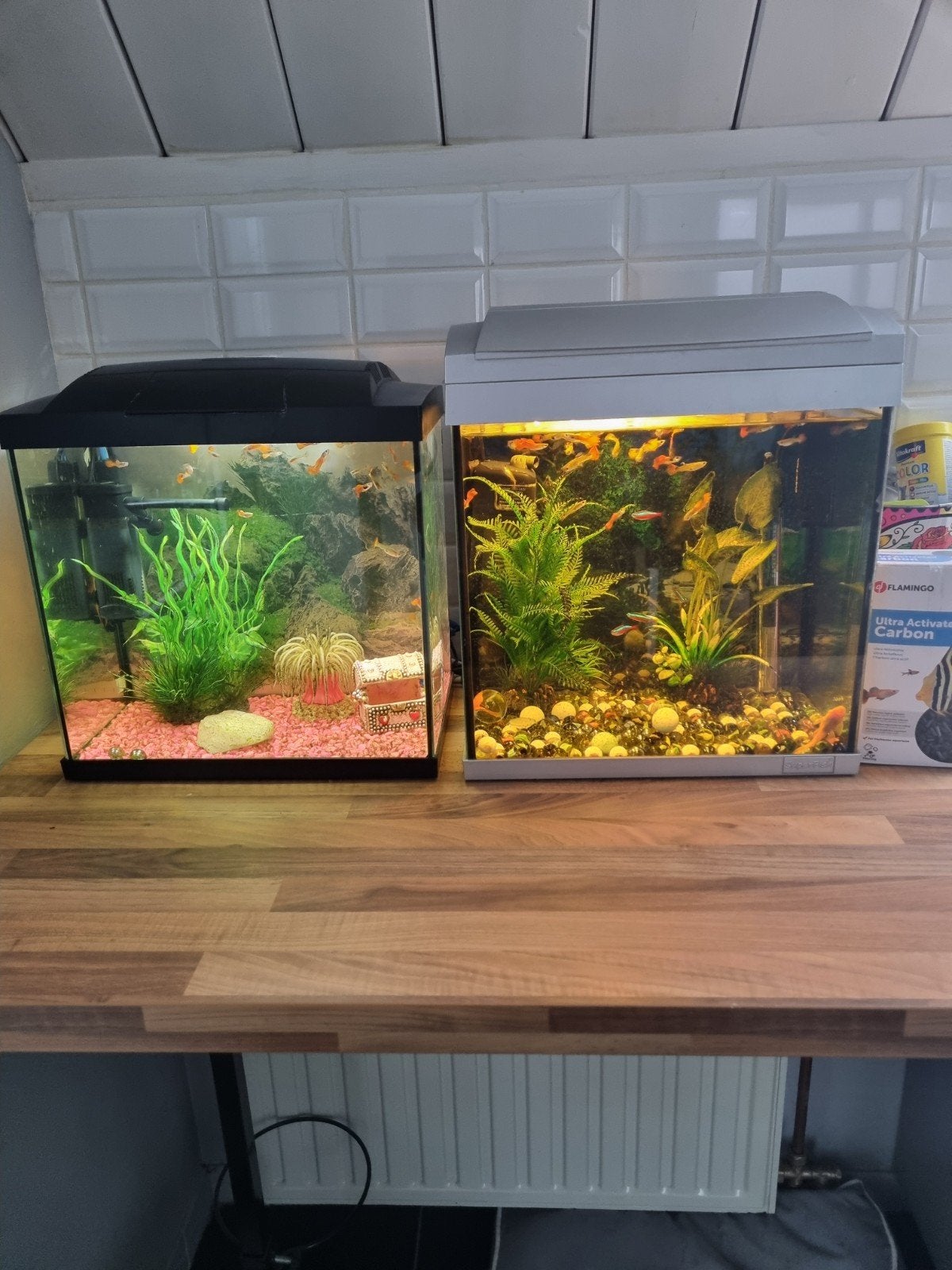 aquarium 2x
