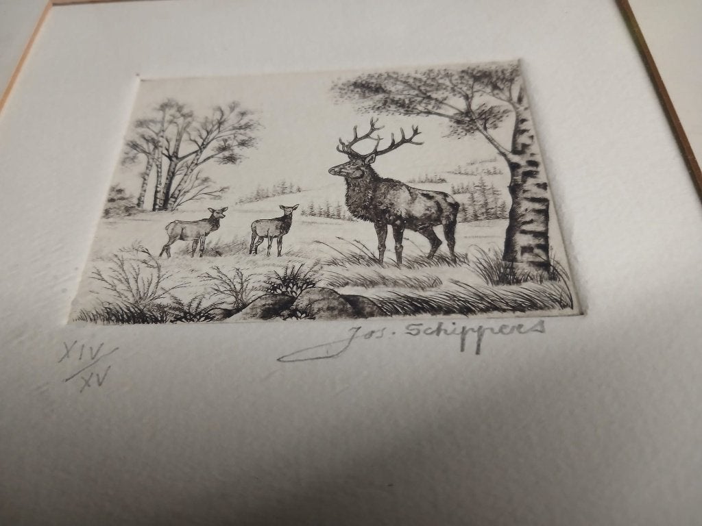 gesigneerde ets Jos Schippers, Antiek en Kunst, Kunst | Etsen en Gravures, Ophalen of Verzenden, Ets, Ingelijst