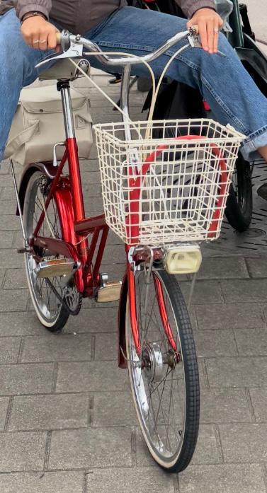 Raleigh twenty , zeldzaam model, Ophalen of Verzenden, Zo goed als nieuw