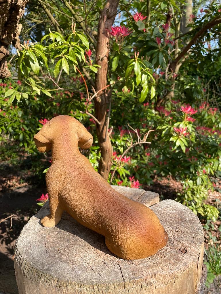 Beeld teckel, tekkel, hond, tuin, gazon 30 cm, Ophalen of Verzenden, Nieuw, Kunststof, Dierenbeeld