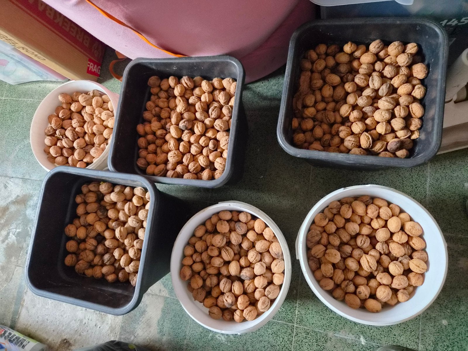 walnoten te koop, Diversen, Levensmiddelen, Ophalen