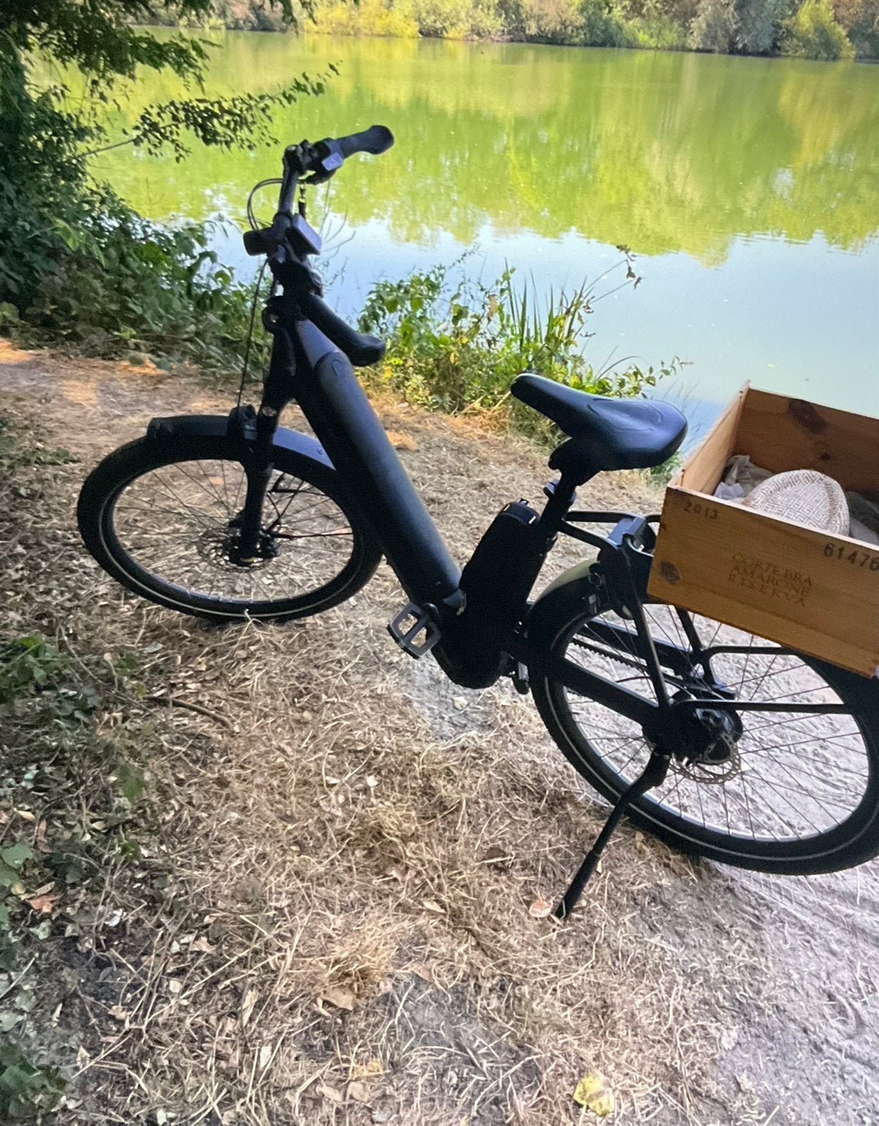 Riese muller nevo 4 gt vario…, Enlèvement, Comme neuf