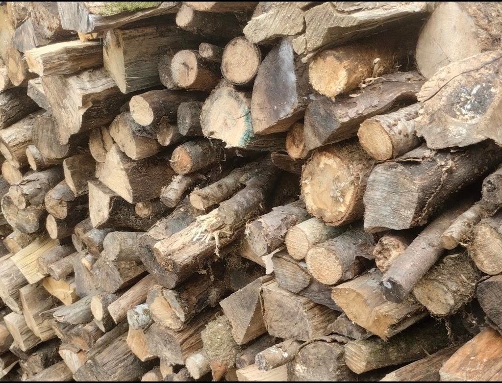 Bois a vendre en 1m, Ophalen, Berkenhout