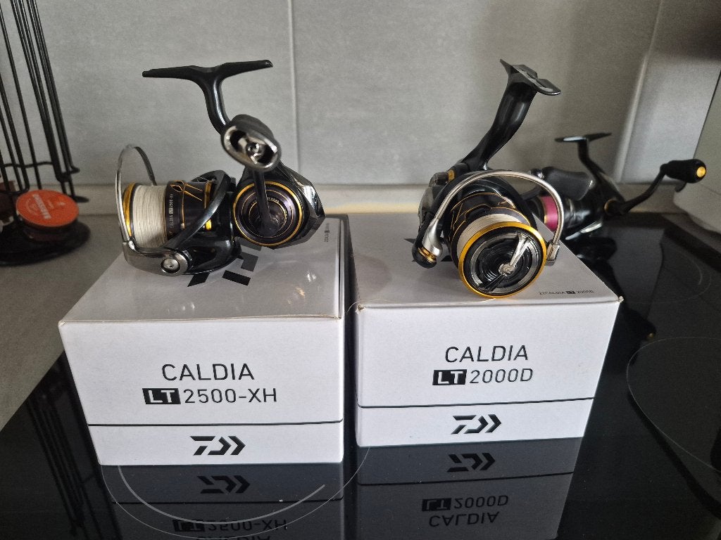 2 Moulinets daiwa caldia, Enlèvement, Utilisé, Moulinet