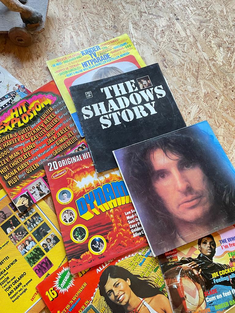 Disques vinyles 16 pièces, Enlèvement, Utilisé