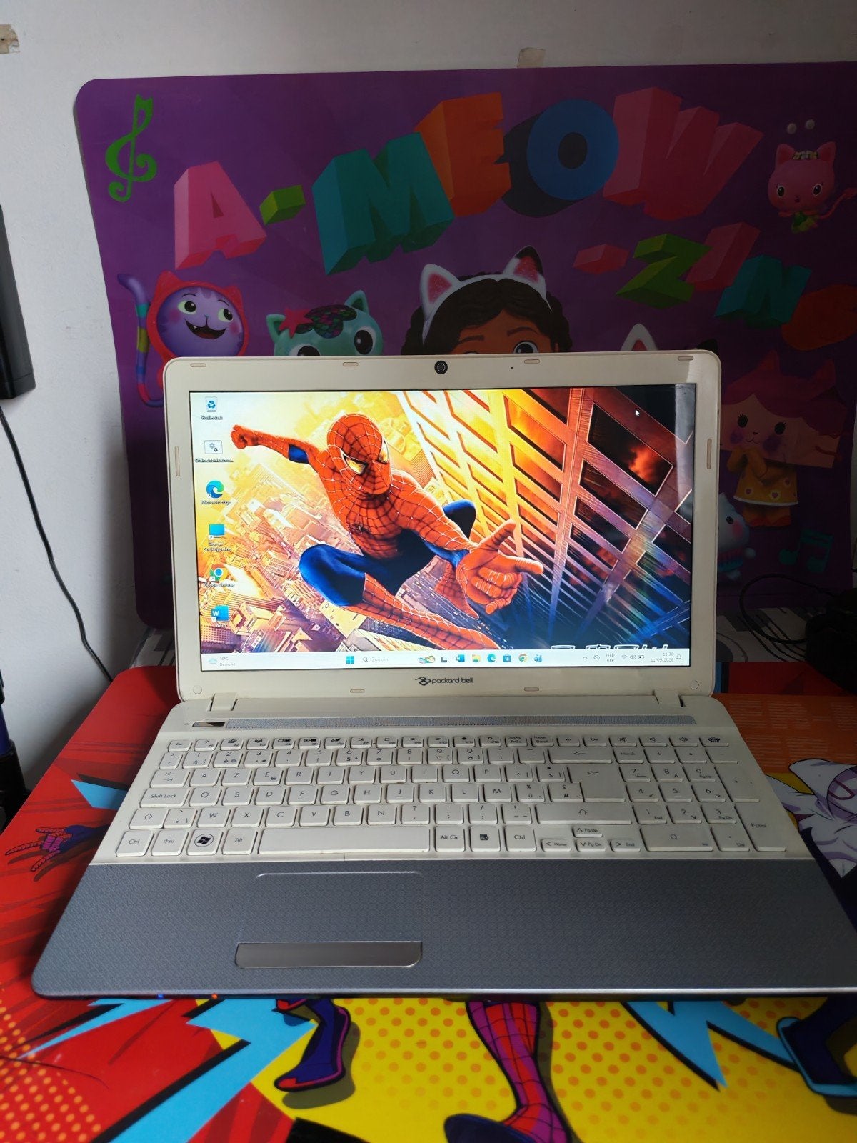 Packard Bell TS13HR -werkende staat dagelijks gebruikl, Enlèvement ou Envoi, Utilisé, SSD, Azerty