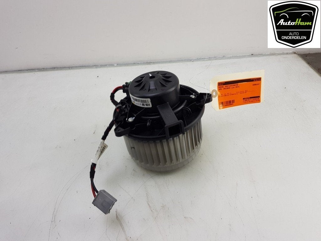 KACHEL VENTILATORMOTOR Opel Insignia Sports Tourer, Dhr. J. Ham, Gebruikt, Administratie@autoham.nl, Opel