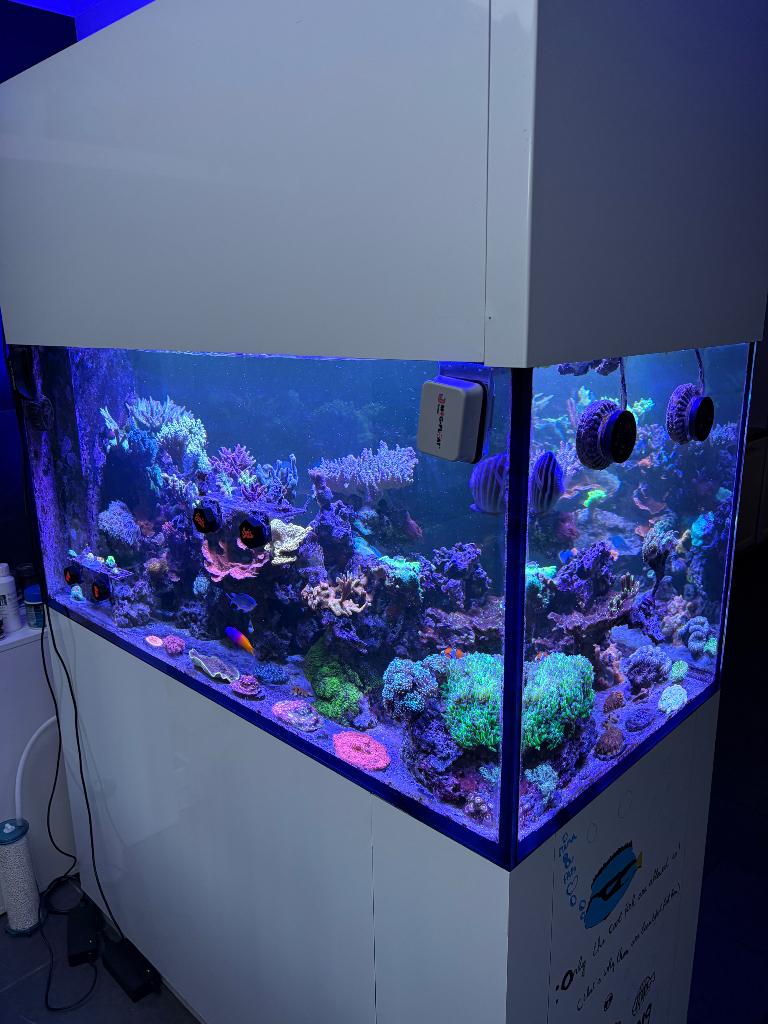 Zeewater aquarium 125x60x60 doorkijk, Ophalen, Gebruikt, Leeg aquarium, Overige merken