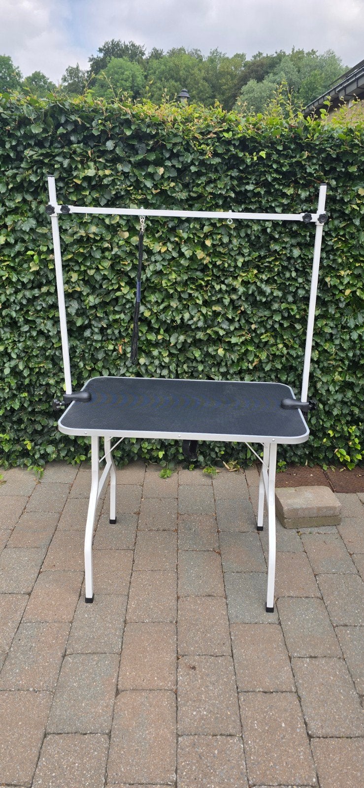 Table de toilettage pliante pour chien – Très bon état, Enlèvement, Table de toilettage