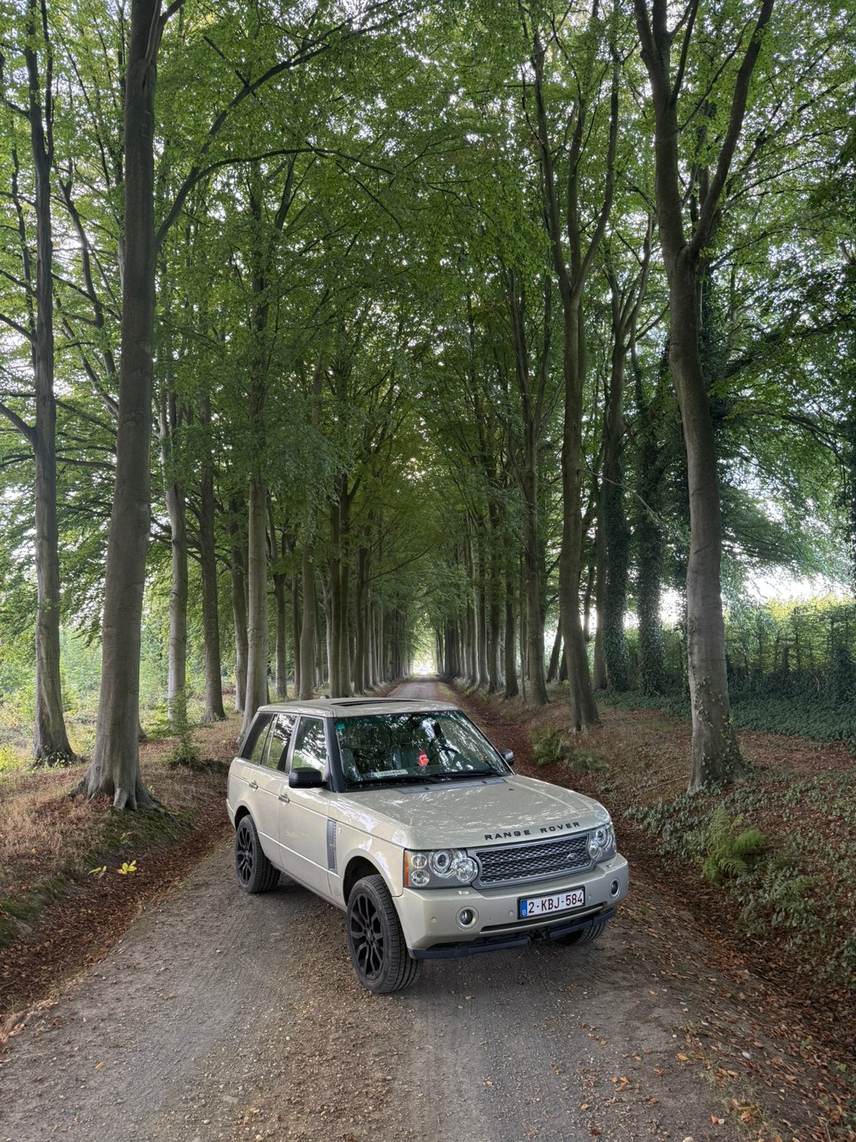 Range Rover Vogue 3.6 V8, Autos, Achat, 5 portes, Diesel, Automatique