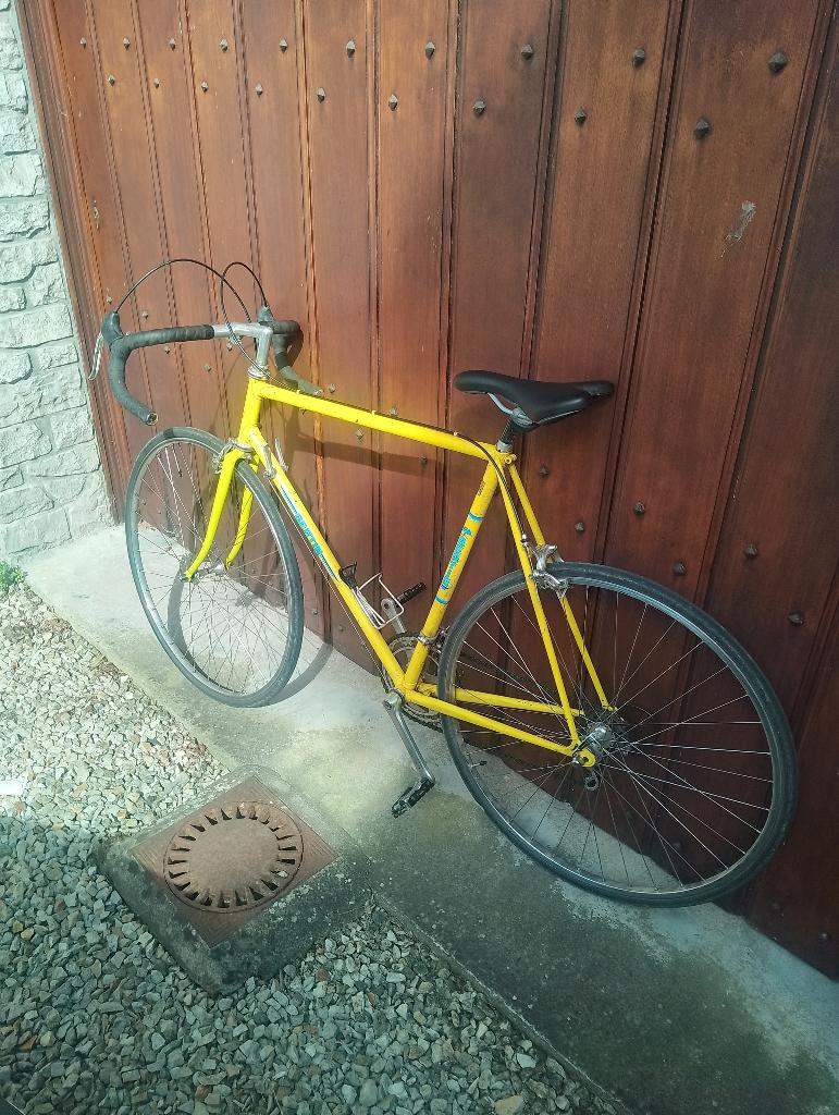 Bertin cadre columbus, Vélos & Vélomoteurs, Enlèvement, Acier