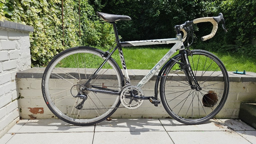 Velo Zannata, Fietsen en Brommers, Gebruikt, Carbon, Velgrem, 15 tot 20 versnellingen