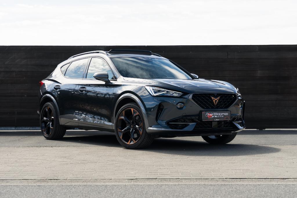 Cupra Formentor 2.0 TSI 4Drive VZ DSG, Auto's, Automaat, 4 cilinders, Leder en Stof, Bedrijf
