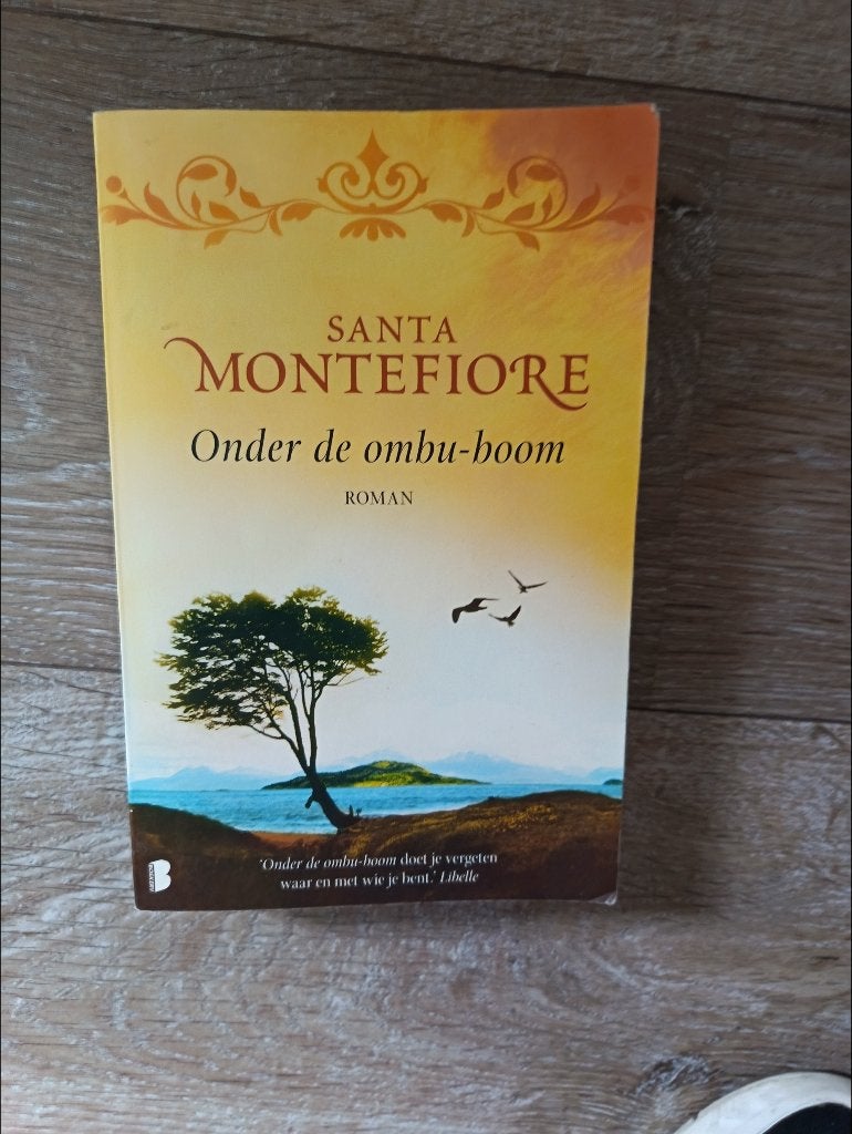 Santa Montefiore, Boeken, Ophalen of Verzenden, Zo goed als nieuw, Santa Montefiore