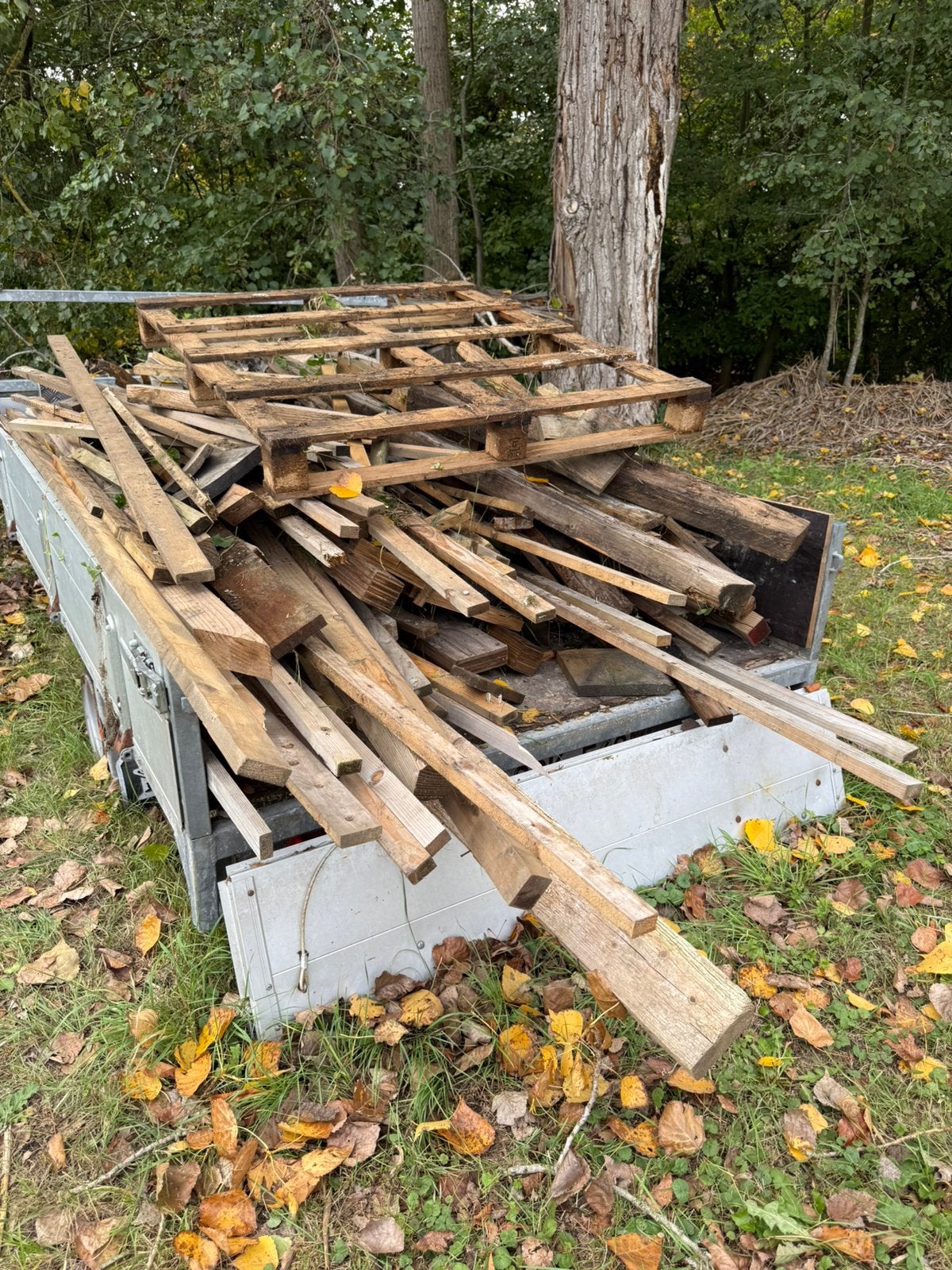Gratis brandhout, Ophalen