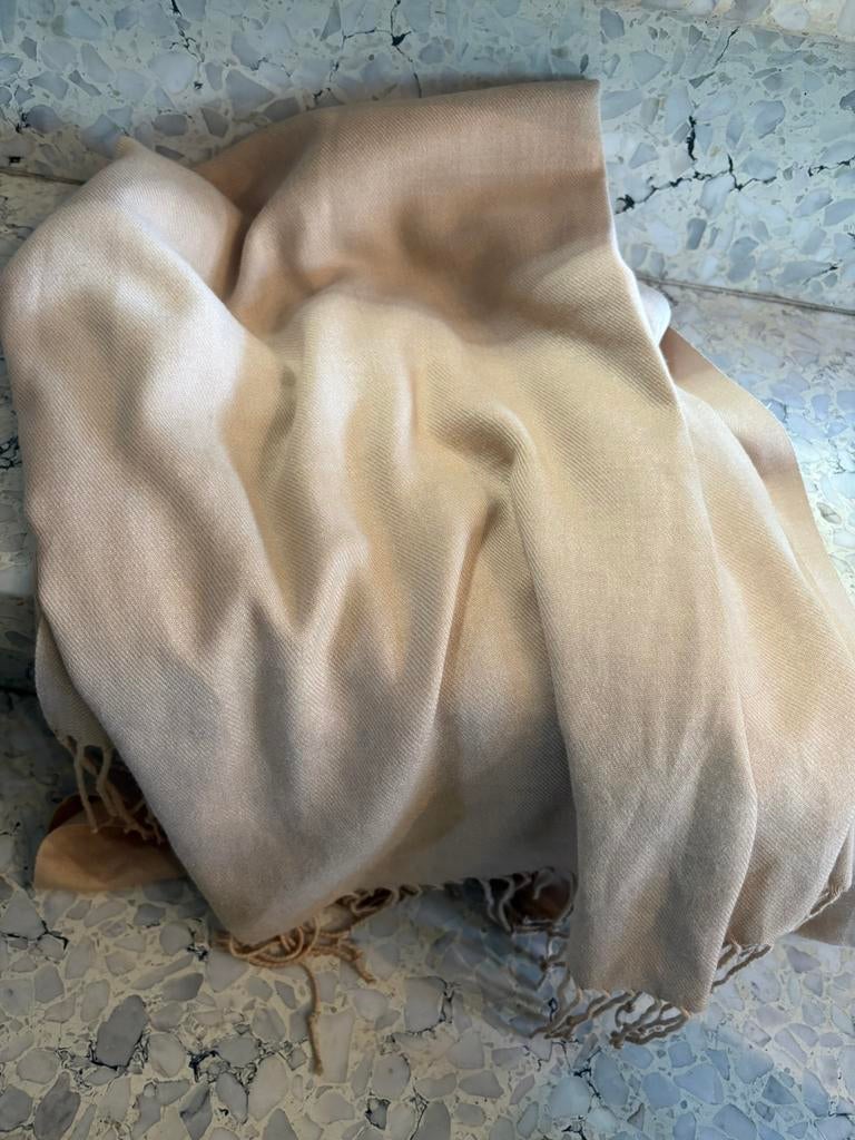 Pashmina cashmere en zijde, Enlèvement ou Envoi, Neuf, Pashmina