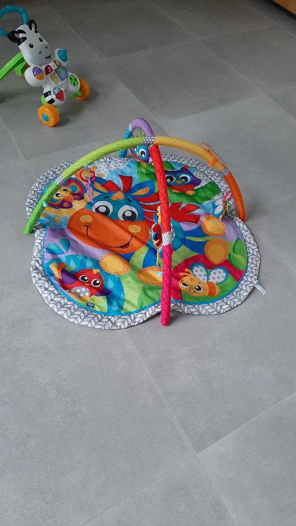 Speeltapijt met ativiteitenbodem Playgro, Kinderen en Baby's, Speelgoed | Speelkleden, Zo goed als nieuw, Ophalen