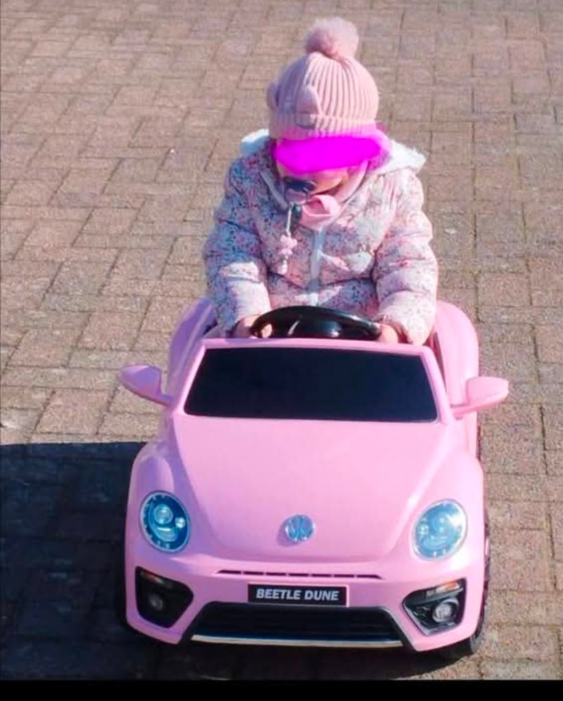 Elektrisch lieveheersbeestje + afstandsbediening. roze kleur, Ophalen